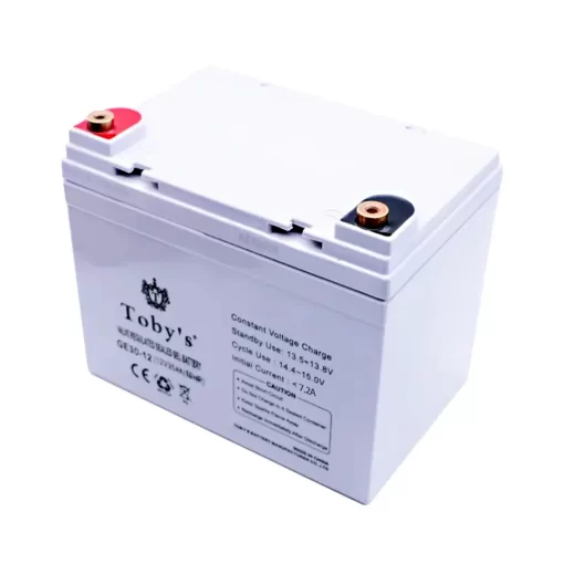 BTY30A Camping Battery
